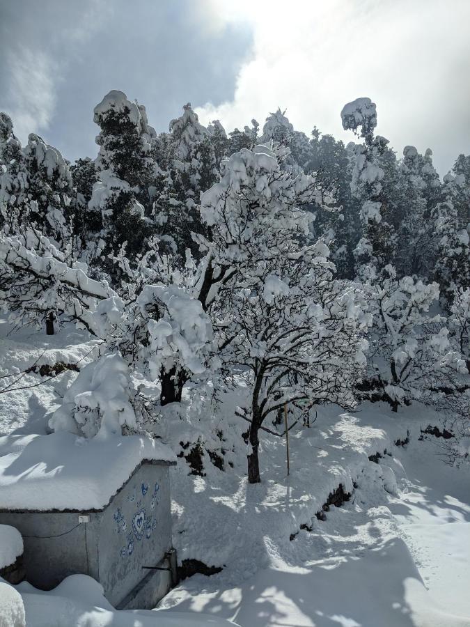 Namastay Himalayas, Kanatal Eksteriør billede