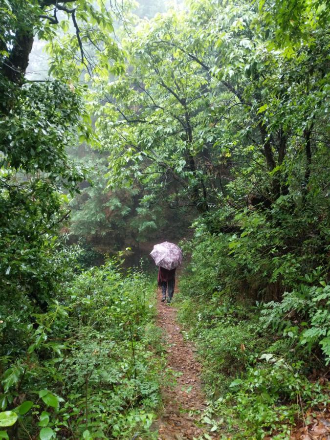 Namastay Himalayas, Kanatal Eksteriør billede