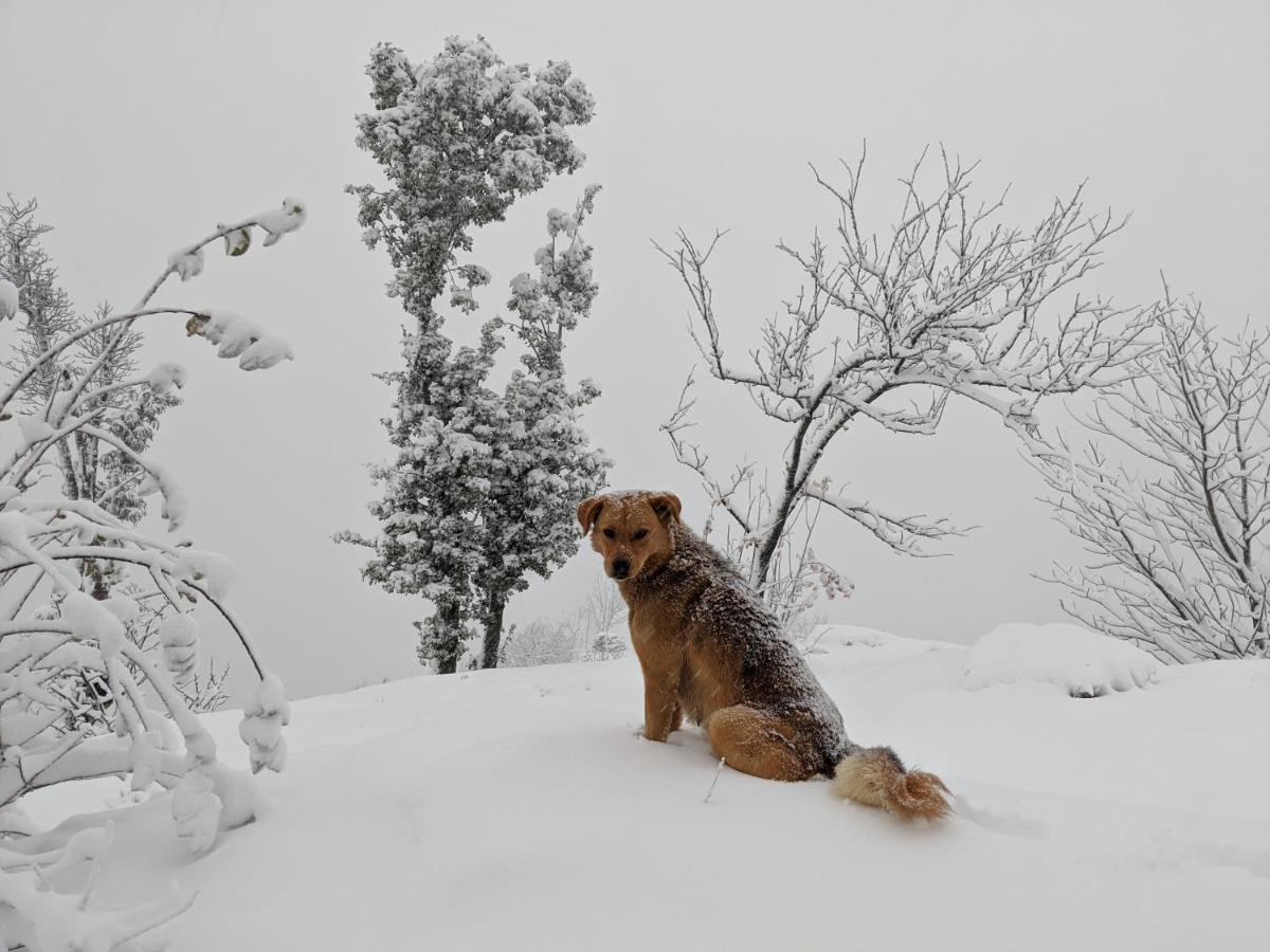 Namastay Himalayas, Kanatal Eksteriør billede