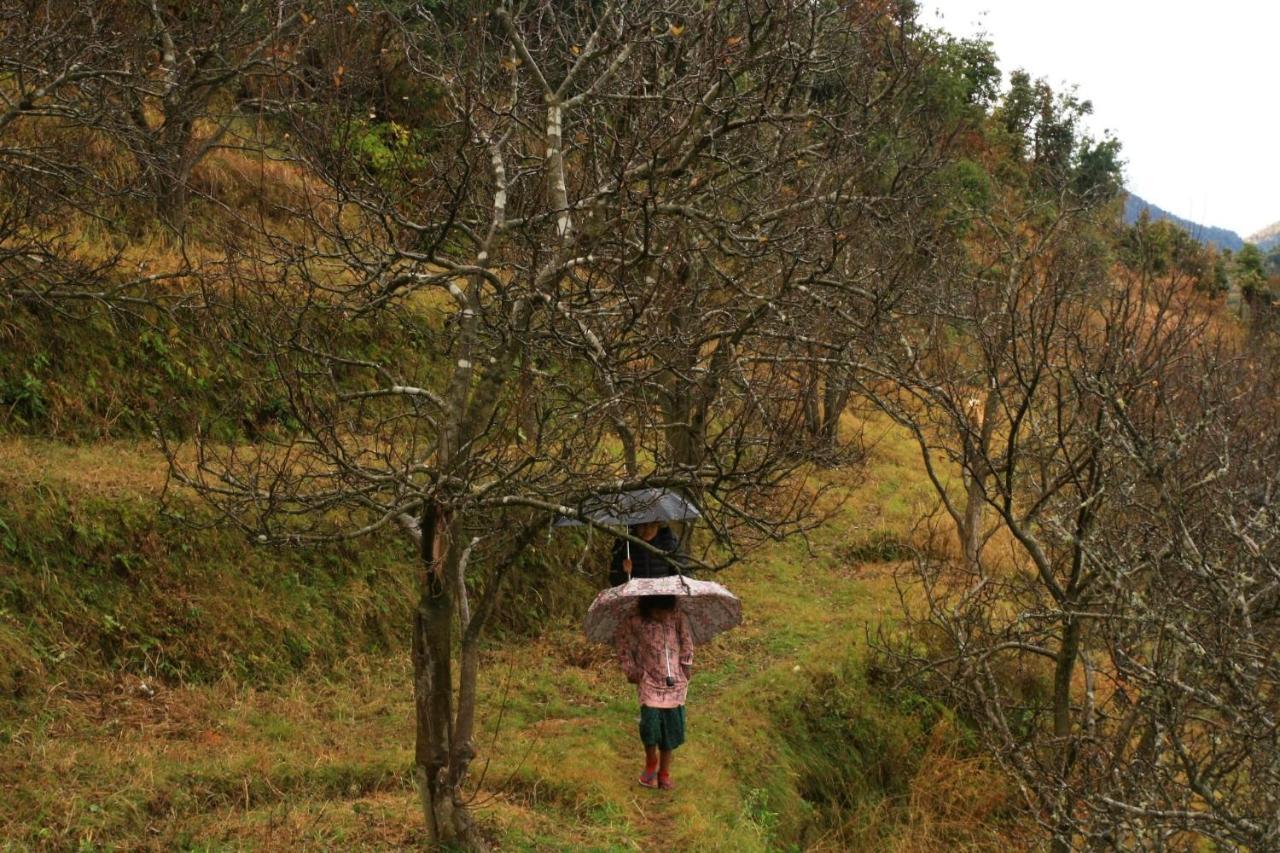 Namastay Himalayas, Kanatal Eksteriør billede