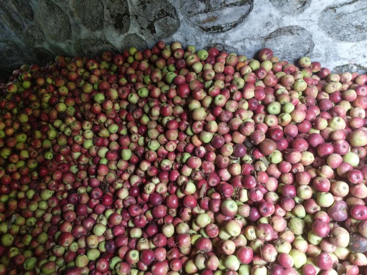 Namastay Himalayas, Kanatal Eksteriør billede